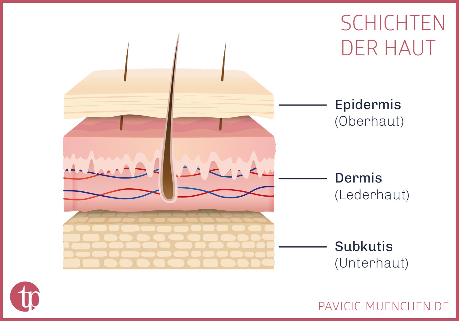 Haut dicker machen